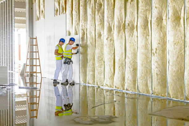 Best Specialized Insulation Services in USA